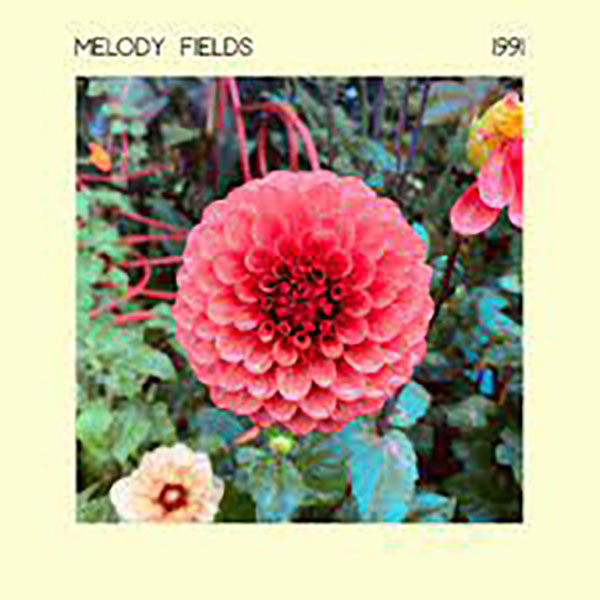 Melody Fields